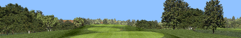 Very wide angle screenshot taken from game